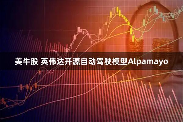 美牛股 英伟达开源自动驾驶模型Alpamayo