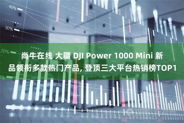 尚牛在线 大疆 DJI Power 1000 Mini 新品领衔多款热门产品, 登顶三大平台热销榜TOP1