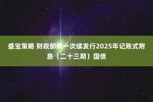 盛宝策略 财政部第一次续发行2025年记账式附息（二十三期）国债