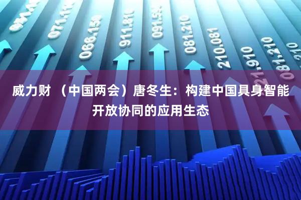 威力财 （中国两会）唐冬生：构建中国具身智能开放协同的应用生态