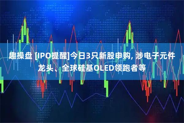 趣操盘 [IPO提醒]今日3只新股申购, 涉电子元件龙头、全球硅基OLED领跑者等