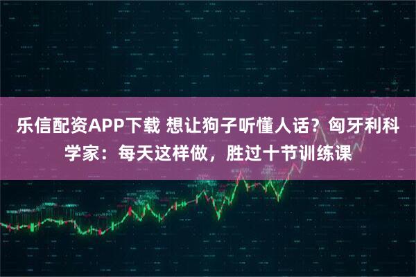 乐信配资APP下载 想让狗子听懂人话？匈牙利科学家：每天这样做，胜过十节训练课